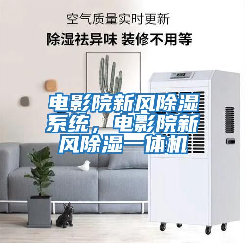 電影院新風(fēng)除濕系統(tǒng)，電影院新風(fēng)除濕一體機