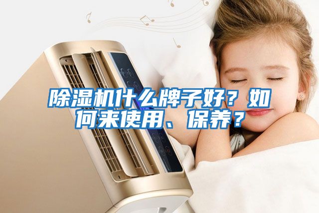 除濕機什么牌子好？如何來使用、保養(yǎng)？