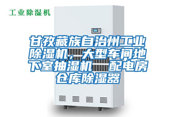 甘孜藏族自治州工業(yè)除濕機，大型車間地下室抽濕機  配電房倉庫除濕器