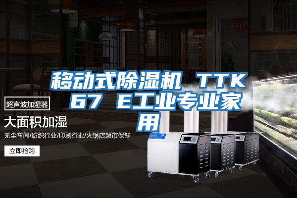 移動式除濕機 TTK 67 E工業(yè)專業(yè)家用