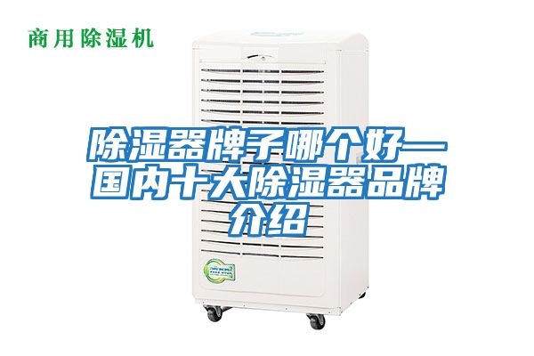 除濕器牌子哪個好—國內(nèi)十大除濕器品牌介紹