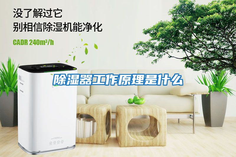 除濕器工作原理是什么