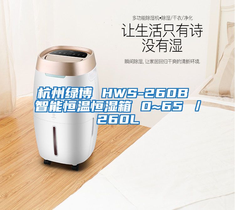 杭州綠博 HWS-260B 智能恒溫恒濕箱 0~65℃／260L