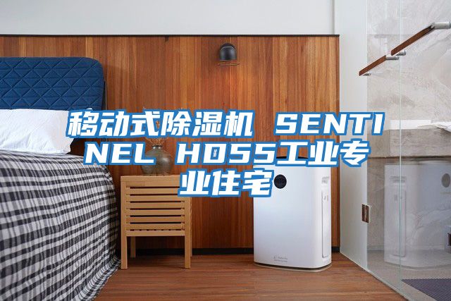 移動式除濕機 SENTINEL HD55工業(yè)專業(yè)住宅