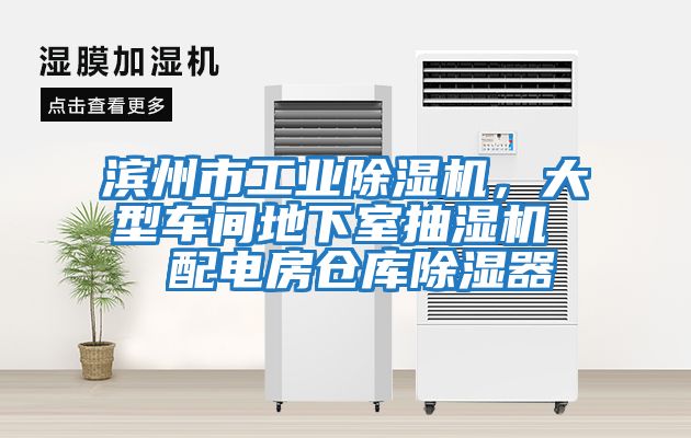 濱州市工業(yè)除濕機，大型車間地下室抽濕機  配電房倉庫除濕器