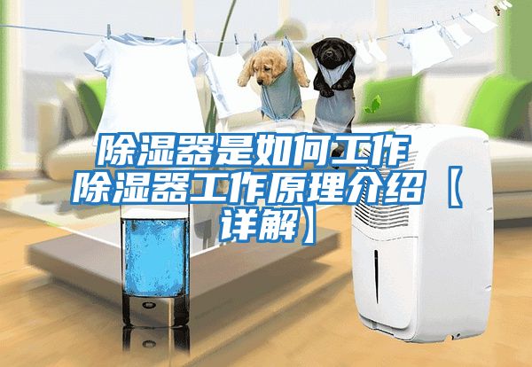 除濕器是如何工作 除濕器工作原理介紹【詳解】