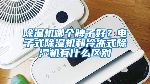 除濕機哪個牌子好？電子式除濕機和冷凍式除濕機有什么區(qū)別