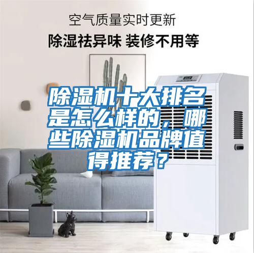 除濕機十大排名是怎么樣的，哪些除濕機品牌值得推薦？