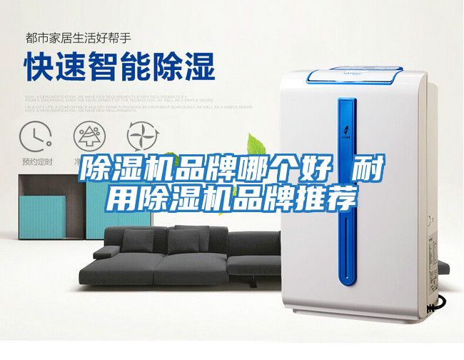 除濕機品牌哪個好 耐用除濕機品牌推薦