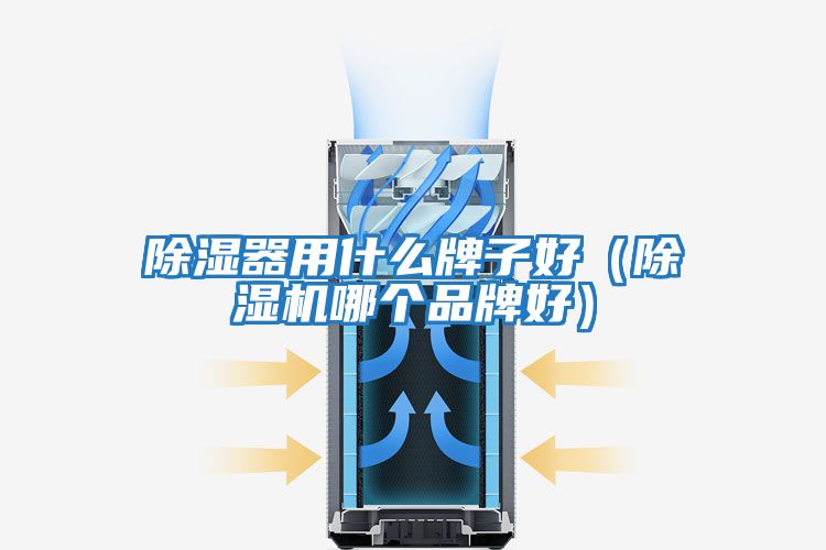 除濕器用什么牌子好（除濕機(jī)哪個(gè)品牌好）