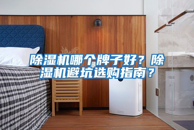 除濕機哪個牌子好？除濕機避坑選購指南？