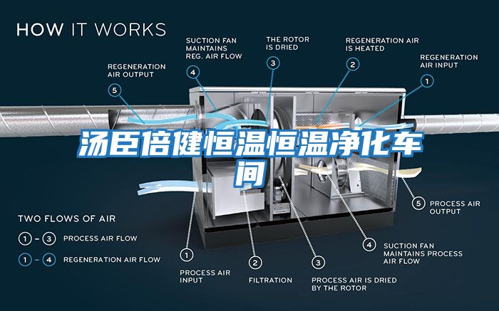 湯臣倍健恒溫恒溫凈化車(chē)間