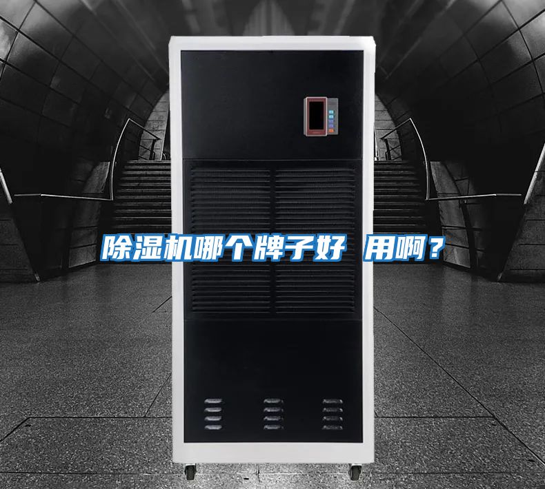 除濕機哪個牌子好 用?。?/></p>
						    <p style=