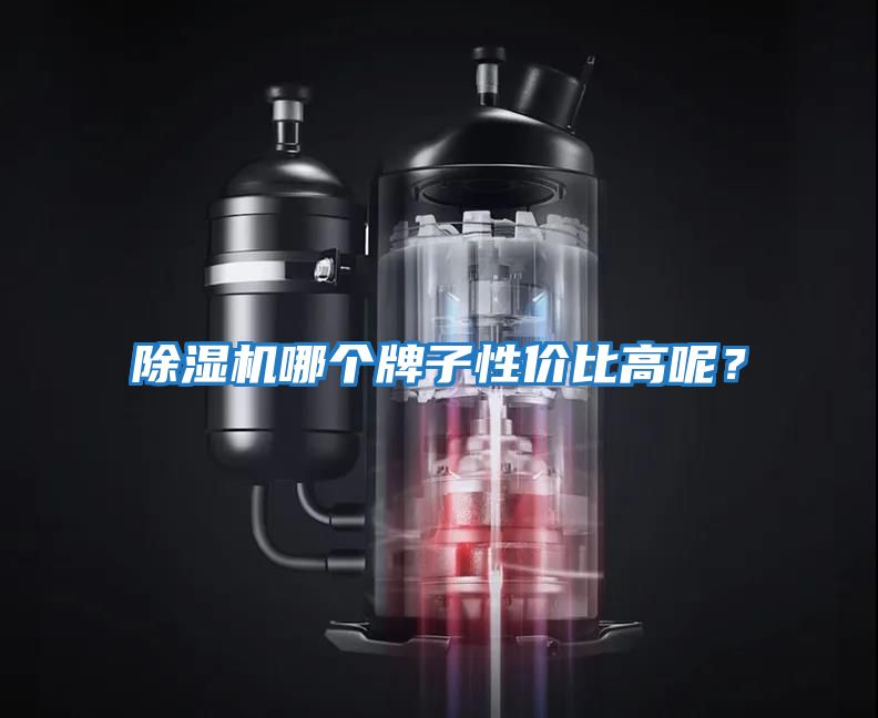 除濕機哪個牌子性價比高呢？