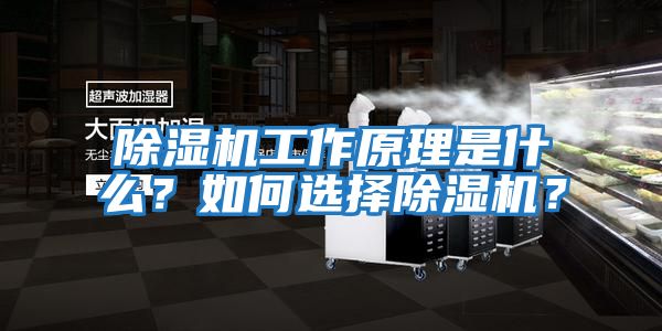 除濕機(jī)工作原理是什么？如何選擇除濕機(jī)？