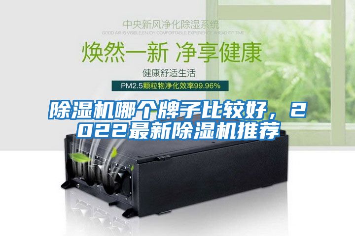 除濕機哪個牌子比較好，2022最新除濕機推薦