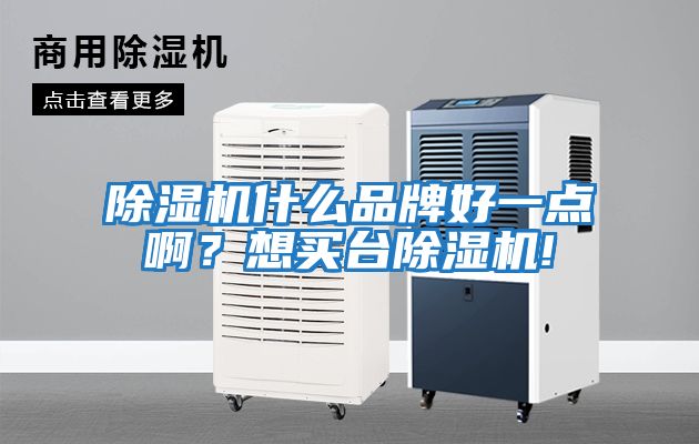 除濕機(jī)什么品牌好一點(diǎn)啊？想買(mǎi)臺(tái)除濕機(jī)!