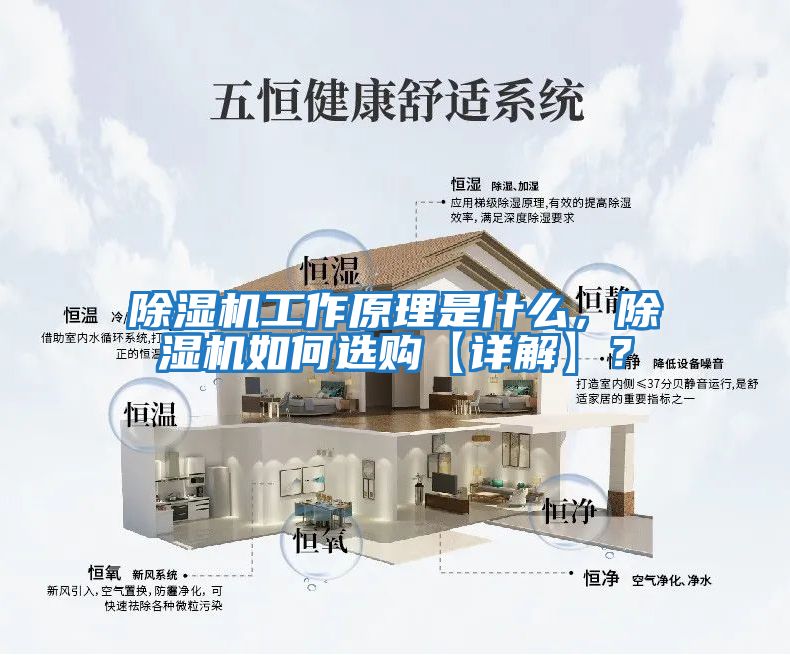 除濕機(jī)工作原理是什么，除濕機(jī)如何選購【詳解】？