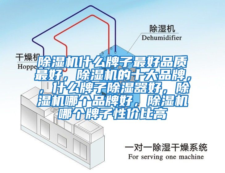 除濕機(jī)什么牌子最好品質(zhì)最好，除濕機(jī)的十大品牌，，什么牌子除濕器好，除濕機(jī)哪個(gè)品牌好，除濕機(jī)哪個(gè)牌子性價(jià)比高