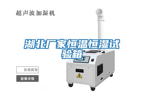 湖北廠家恒溫恒濕試驗箱