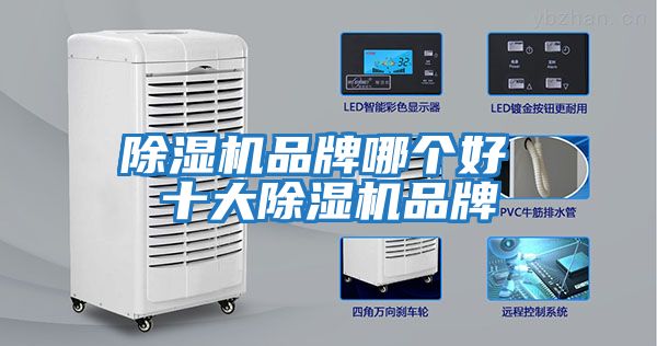 除濕機品牌哪個好 十大除濕機品牌