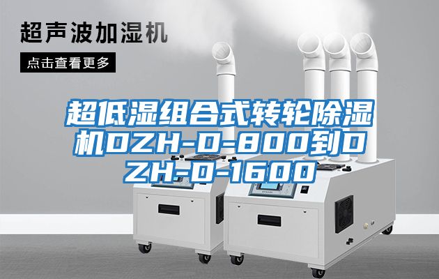 超低濕組合式轉(zhuǎn)輪除濕機DZH-D-800到DZH-D-1600