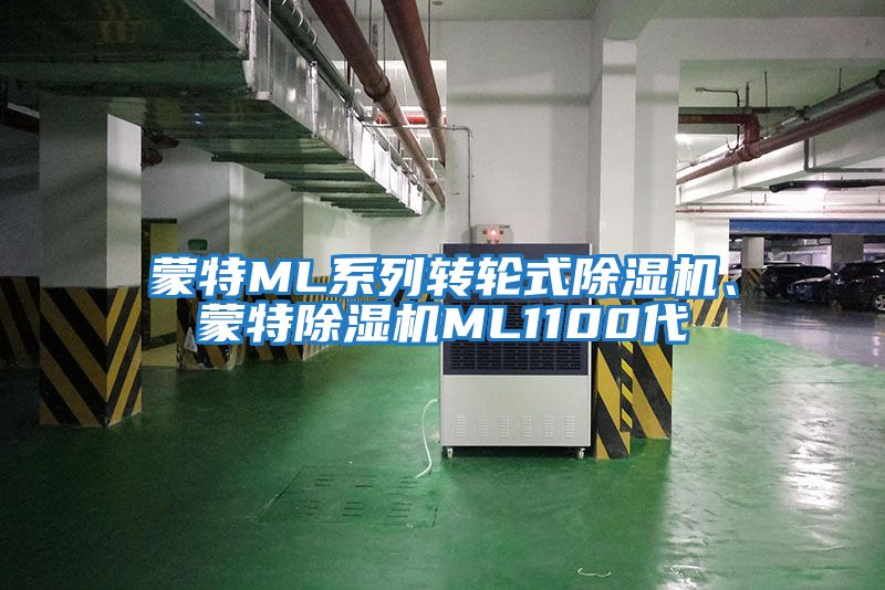 蒙特ML系列轉(zhuǎn)輪式除濕機、蒙特除濕機ML1100代