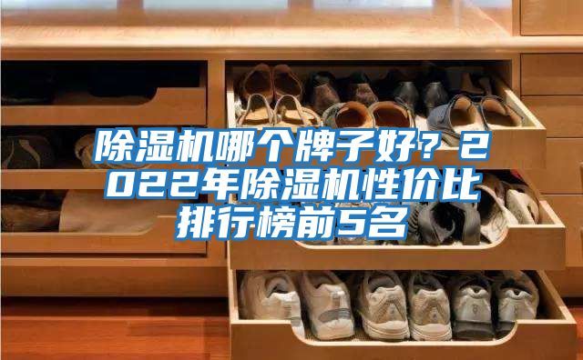 除濕機(jī)哪個牌子好？2022年除濕機(jī)性價比排行榜前5名