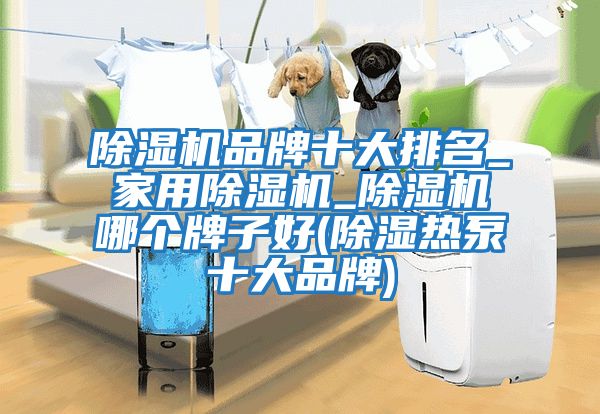 除濕機品牌十大排名_家用除濕機_除濕機哪個牌子好(除濕熱泵十大品牌)