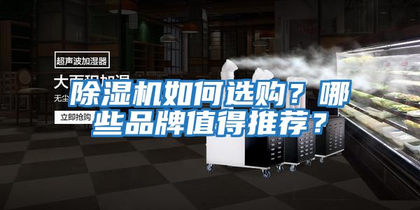 除濕機如何選購？哪些品牌值得推薦？