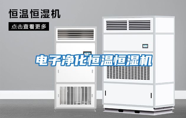 電子凈化恒溫恒濕機(jī)