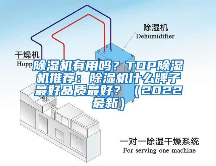 除濕機有用嗎？TOP除濕機推薦：除濕機什么牌子最好品質(zhì)最好？（2022最新）