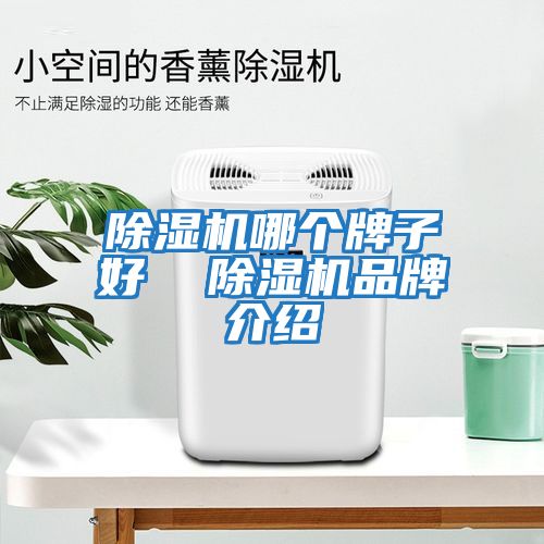 除濕機哪個牌子好  除濕機品牌介紹