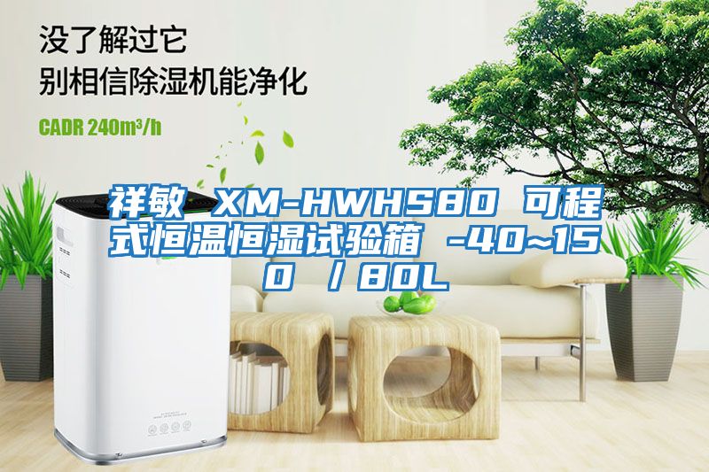 祥敏 XM-HWHS80 可程式恒溫恒濕試驗(yàn)箱 -40~150℃／80L