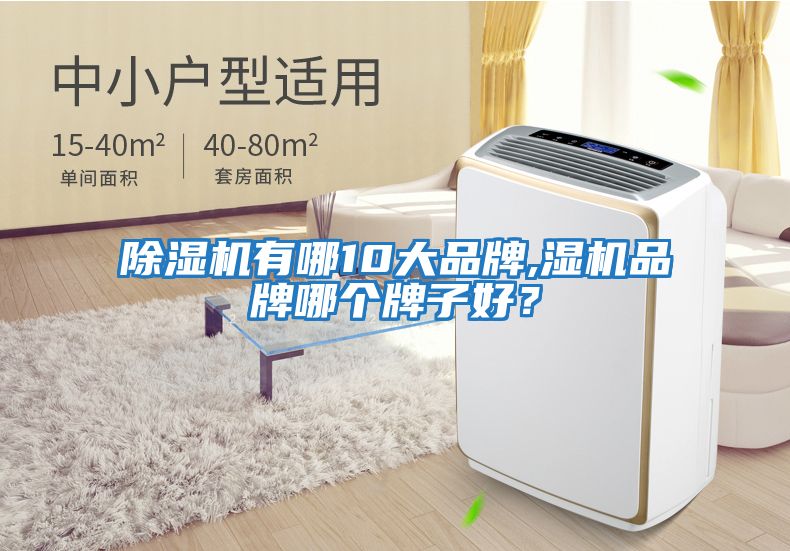 除濕機(jī)有哪10大品牌,濕機(jī)品牌哪個(gè)牌子好？