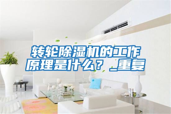 轉輪除濕機的工作原理是什么？_重復