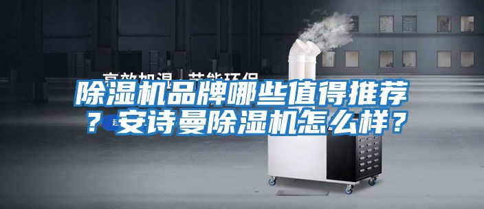 除濕機品牌哪些值得推薦？安詩曼除濕機怎么樣？