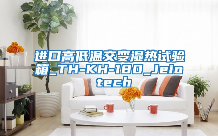 進(jìn)口高低溫交變濕熱試驗(yàn)箱_TH-KH-180_Jeio tech