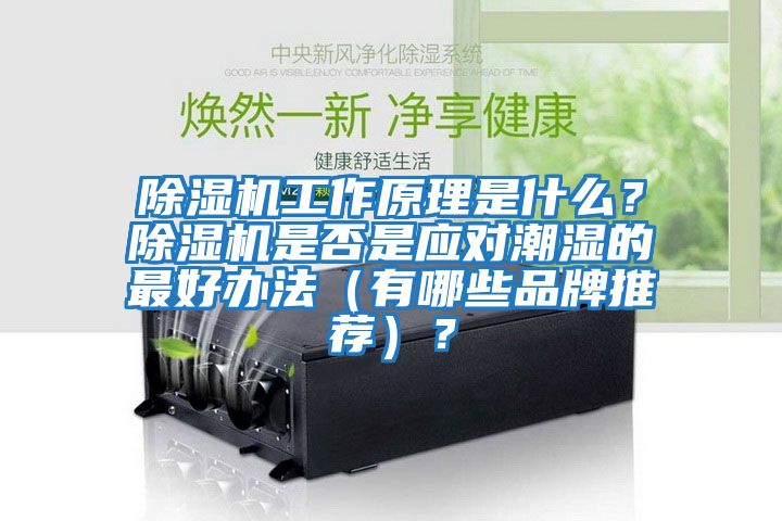 除濕機工作原理是什么？除濕機是否是應(yīng)對潮濕的最好辦法（有哪些品牌推薦）？