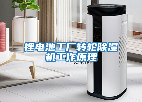 鋰電池工廠轉(zhuǎn)輪除濕機工作原理