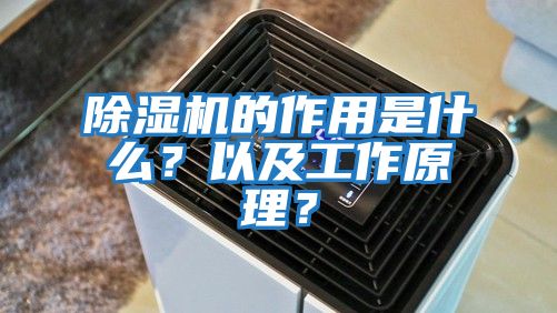 除濕機的作用是什么？以及工作原理？