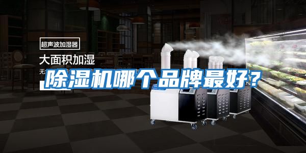 除濕機哪個品牌最好？