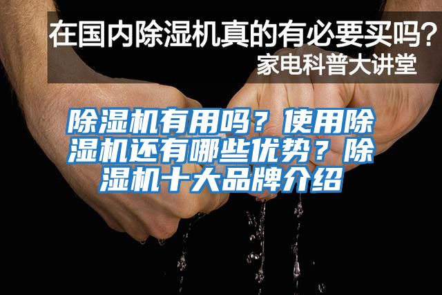 除濕機有用嗎？使用除濕機還有哪些優(yōu)勢？除濕機十大品牌介紹