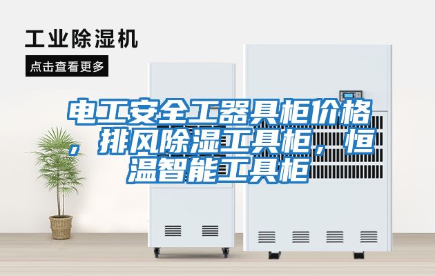 電工安全工器具柜價格，排風(fēng)除濕工具柜，恒溫智能工具柜