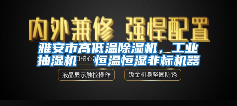 雅安市高低溫除濕機，工業(yè)抽濕機  恒溫恒濕非標(biāo)機器