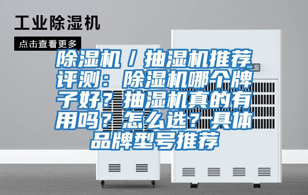 除濕機／抽濕機推薦評測：除濕機哪個牌子好？抽濕機真的有用嗎？怎么選？具體品牌型號推薦