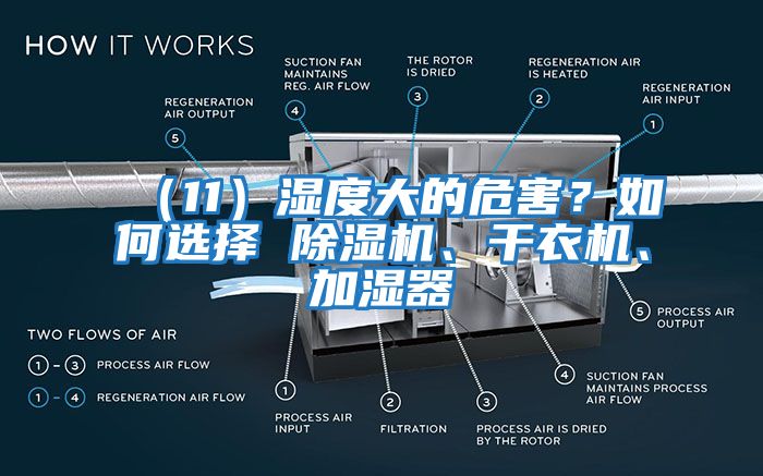 （11）濕度大的危害？如何選擇 除濕機、干衣機、加濕器