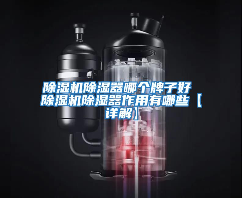 除濕機除濕器哪個牌子好 除濕機除濕器作用有哪些【詳解】