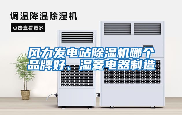 風(fēng)力發(fā)電站除濕機(jī)哪個品牌好、濕菱電器制造