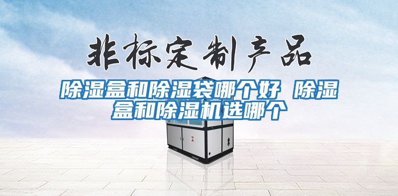 除濕盒和除濕袋哪個好 除濕盒和除濕機(jī)選哪個